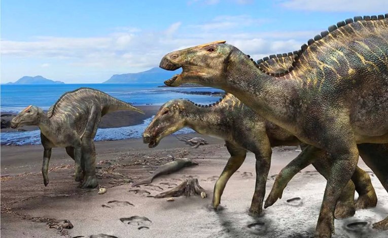 U Japanu otkrivena potpuno nova vrsta dinosaura, pogledajte kako je izgledao